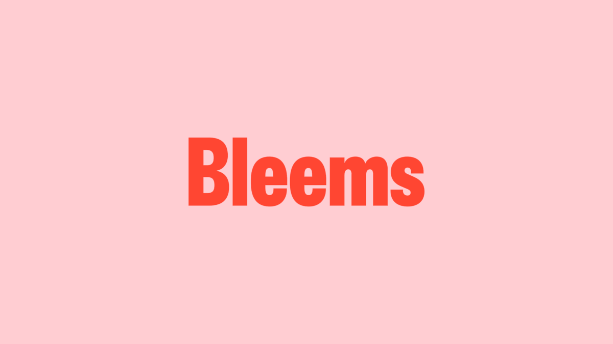 Bleems Company Logo
