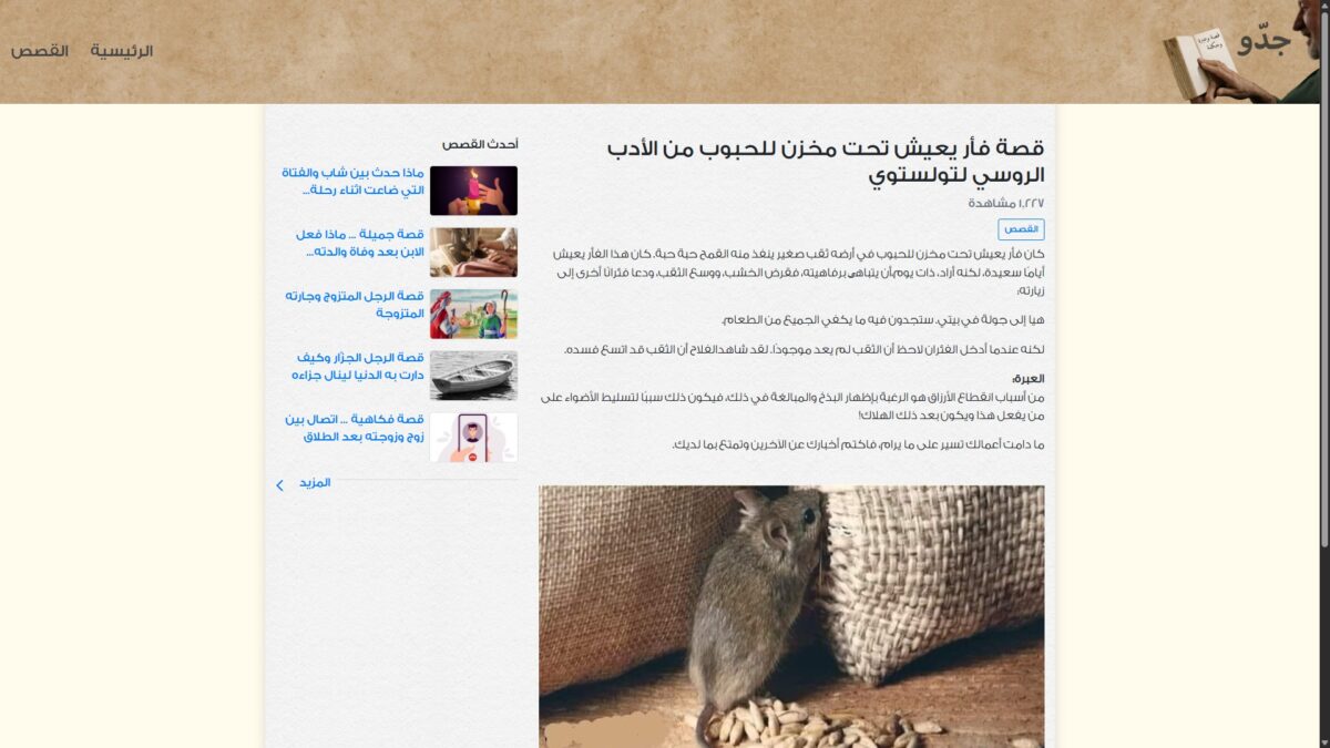 jiddoo-website-2