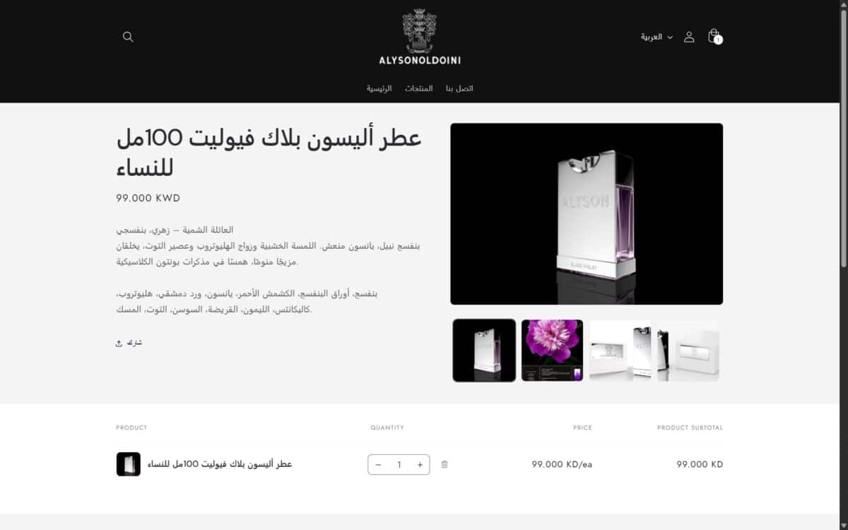 alyson-oldoini-kuwait-website-ar-5