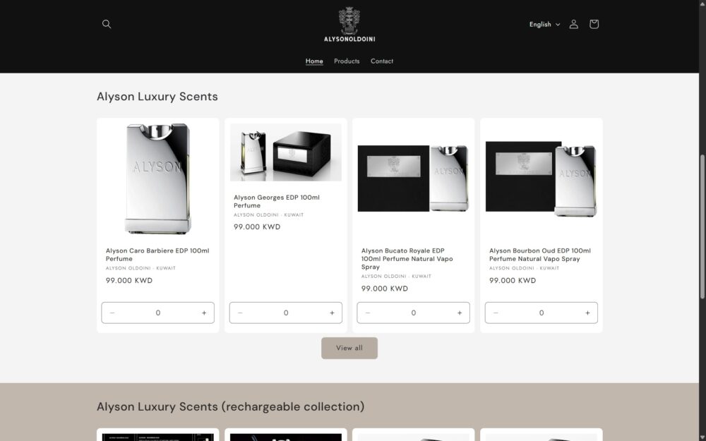 alyson-oldoini-kuwait-website-en-2