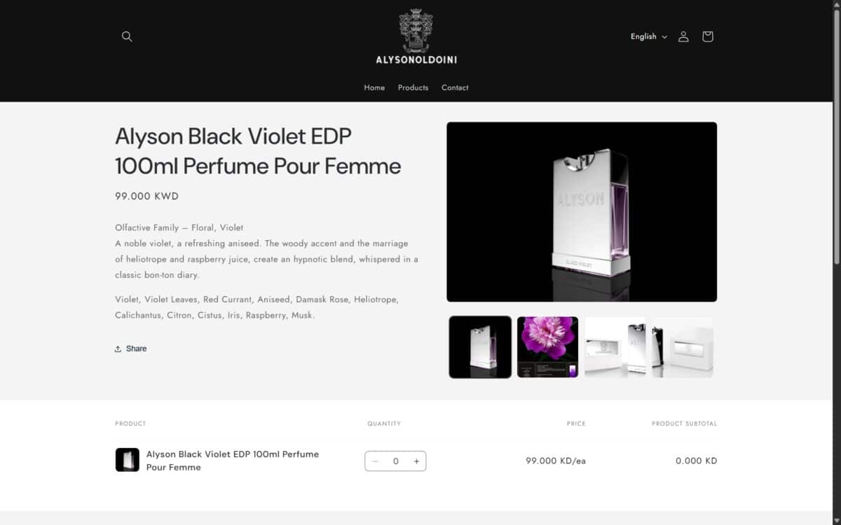 alyson-oldoini-kuwait-website-en-5